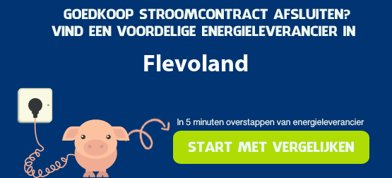 goedkoopste stroom in flevoland